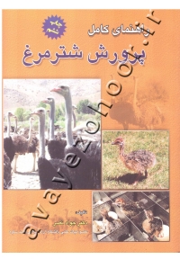 راهنمای کامل پرورش شترمرغ