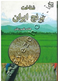 شناخت برنج ایران