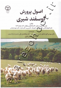 اصول پرورش گوسفند شیری