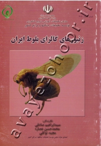زنبورهای گالزای بلوط ایران