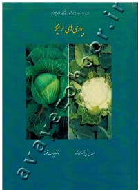 بیماری های براسیکا