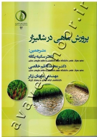 پرورش ماهی در شالیزار