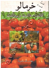 خرمالو (کاشت، داشت و برداشت)