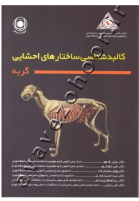 کالبدشناسی ساختارهای احشایی گربه