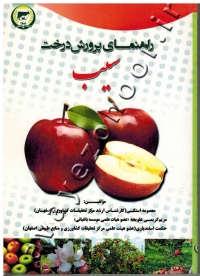 راهنمای پرورش درخت سیب