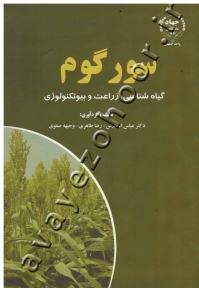 سورگوم (گیاه شناسی، زراعت و بیوتکنولوژی)