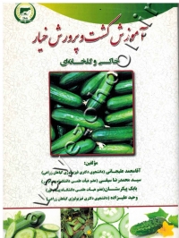 آموزش کشت و پرورش خیار (خاکی و گلخانه ای)