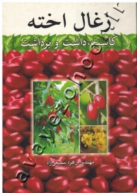 زغال اخته (کاشت، داشت و برداشت)