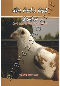 کبوتر و کبوتر بازی در ایران