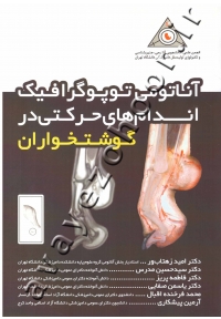 آناتومی توپوگرافیک اندام های حرکتی در گوشتخواران