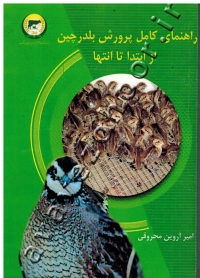 راهنمای کامل پرورش بلدرچین از ابتدا تا انتها