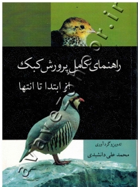 راهنمای کامل پرورش کبک از ابتدا تا انتها