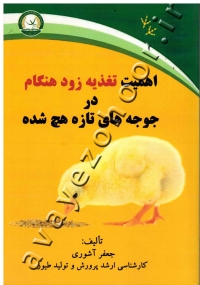 اهمیت تغذیه زود هنگام در جوجه های تازه هچ شده