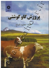 پرورش گاو گوشتی