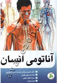 آناتومی انسان