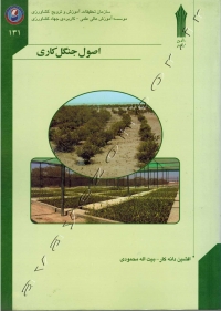 اصول جنگل کاری