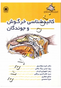 کالبدشناسی خرگوش و جوندگان