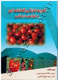 گوجه فرنگی گلخانه ای و خواص درمانی