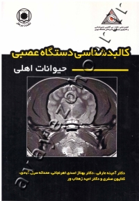 کالبدشناسی دستگاه عصبی حیوانات اهلی