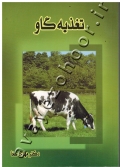 تغذیه گاو