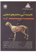 کالبدشناسی ساختارهای احشایی گربه