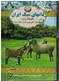 دامهای سبک ایران «گوسفند و بز» (نژادها، اکوتیپ ها و نکته ها)