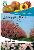راهنمای کاربردی پرورش درختان هلو و شلیل