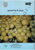 پرورش قارچ شامپینیون
