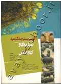 اکوسیستم شکمبه (تغذیه گاو و گاومیش)