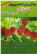راهنمای جامع کاشت و پرورش توت فرنگی در مزرعه و گلخانه