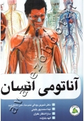 آناتومی انسان