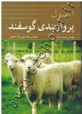 اصول پرواربندی گوسفند