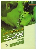 تغذیه و خوراک دادن گاو ارگانیک